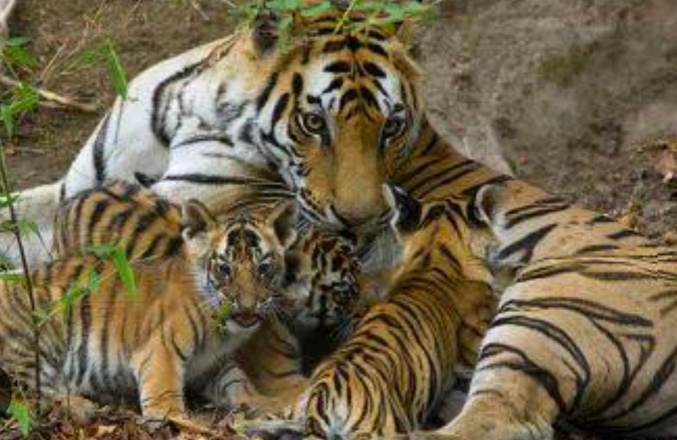 Screenshot 20230329 0755342