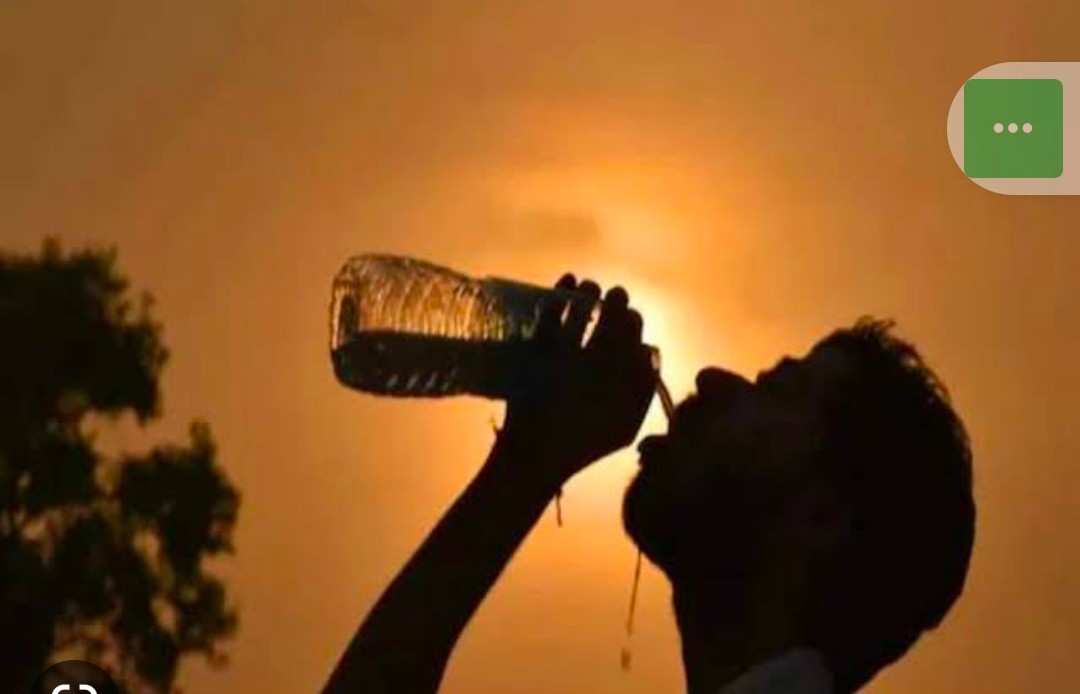 Screenshot 20230404 1211092