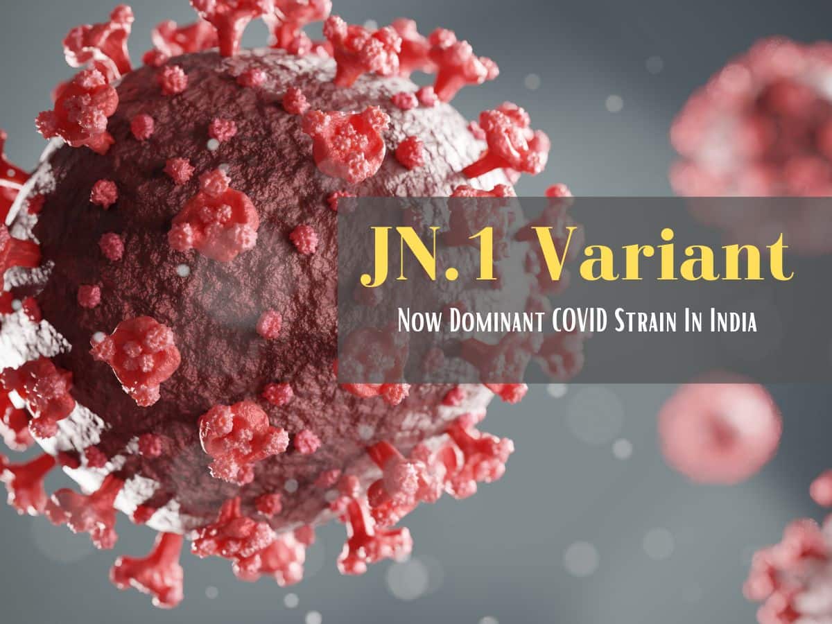 JN.1 Variant Becomes Dominant Strain In India INSACOG Warns of Unusual COVID 19 Symptoms