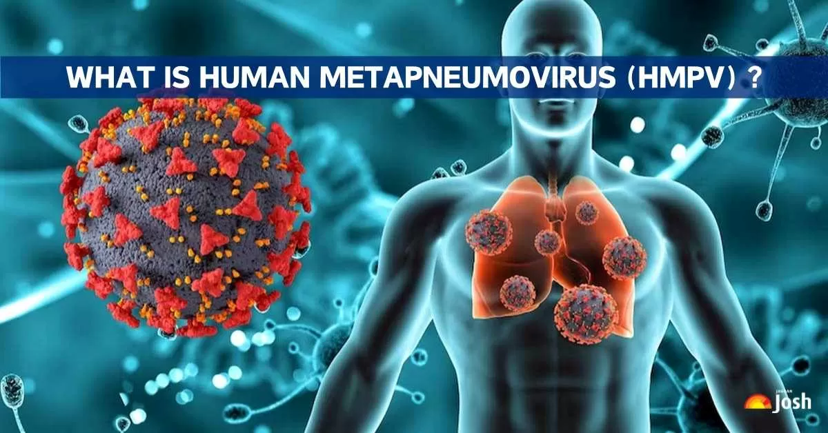What is Human Metapneumovirus HMPV