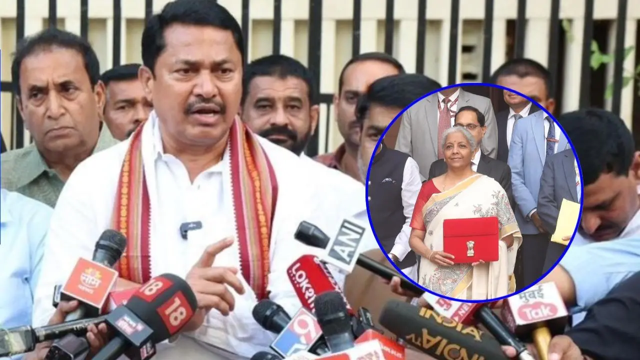 Nana Patole budget d