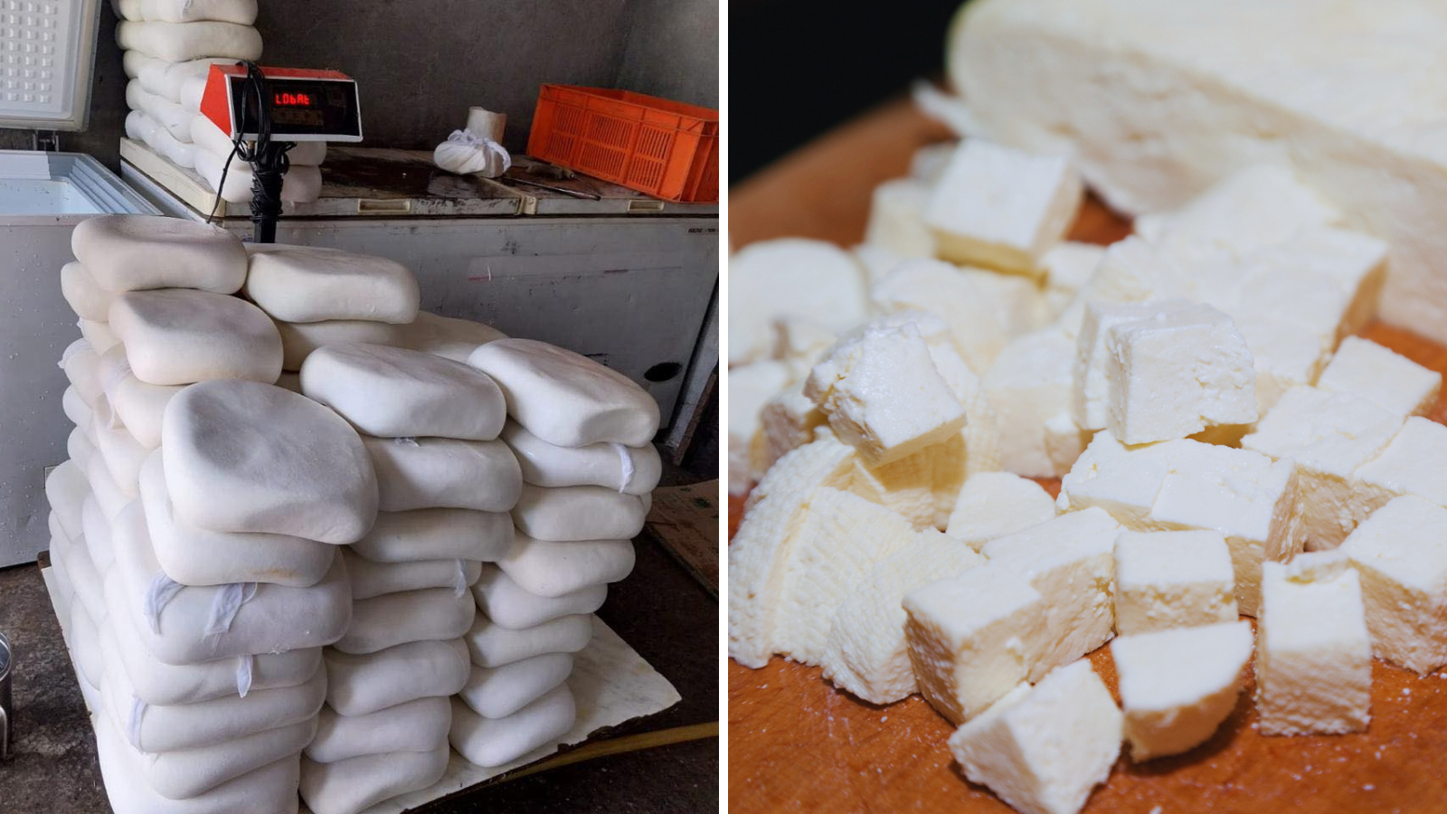 paneer adulteration test fssai team seal 500 kg fake paneer know 5 easy steps to recognize fake paneer at home 110586770