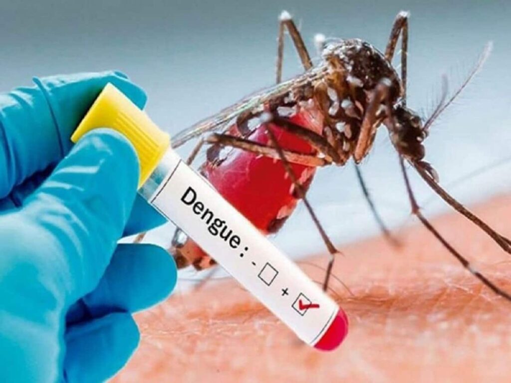 Dengue fear in Thane school: ЁЯжЯ рдмрдЪреНрдЪреЛрдВ рдореЗрдВ рдорд▓реЗрд░рд┐рдпрд╛-рдбреЗрдВрдЧреВ рдХрд╛ рдбрд░! рдард╛рдгреЗ рд╕реНрдХреВрд▓ рдиреЗ рдордЪреНрдЫрд░реЛрдВ рдХреА рджрд╣рд╢рдд рдореЗрдВ 10 рджрд┐рди рдХреЗ рд▓рд┐рдП рд╢реБрд░реВ рдХреА рдСрдирд▓рд╛рдЗрди рдкрдврд╝рд╛рдИ 11 Dengue Fever