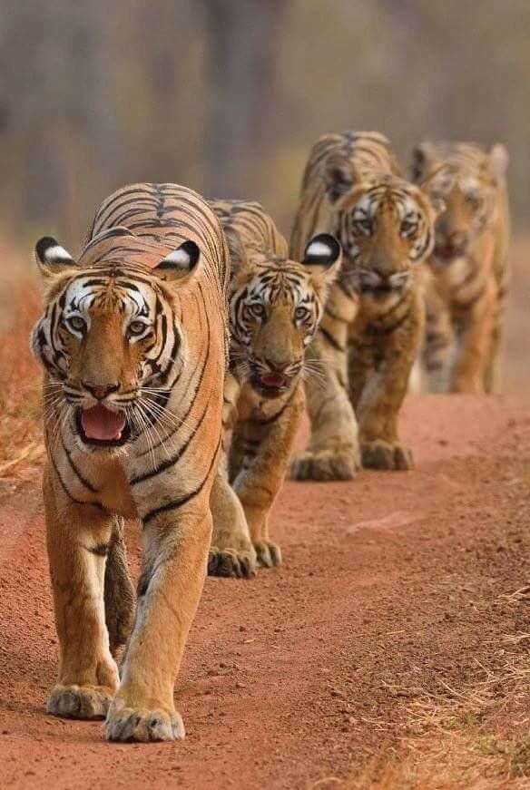 d95d39a8e0630aaf615464676dd89bd9