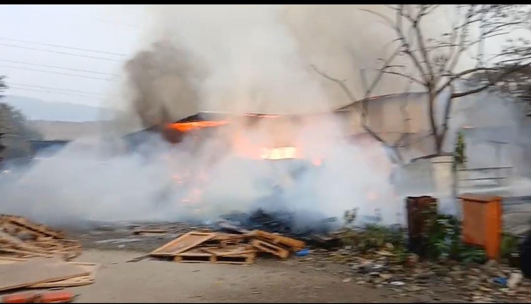 IMG 20260201 WA00591