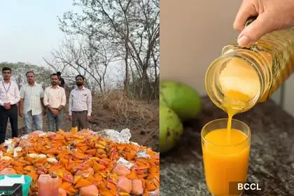 mango adulteration alert