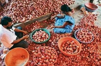 onion 1679423337129 1679423337347 1679423337347