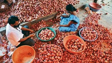 onion 1679423337129 1679423337347 1679423337347