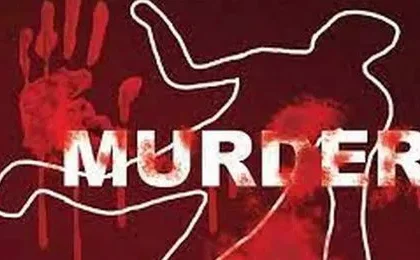 Murder 1 V jpg 442x260 4g